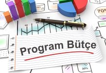 Program Bütçe